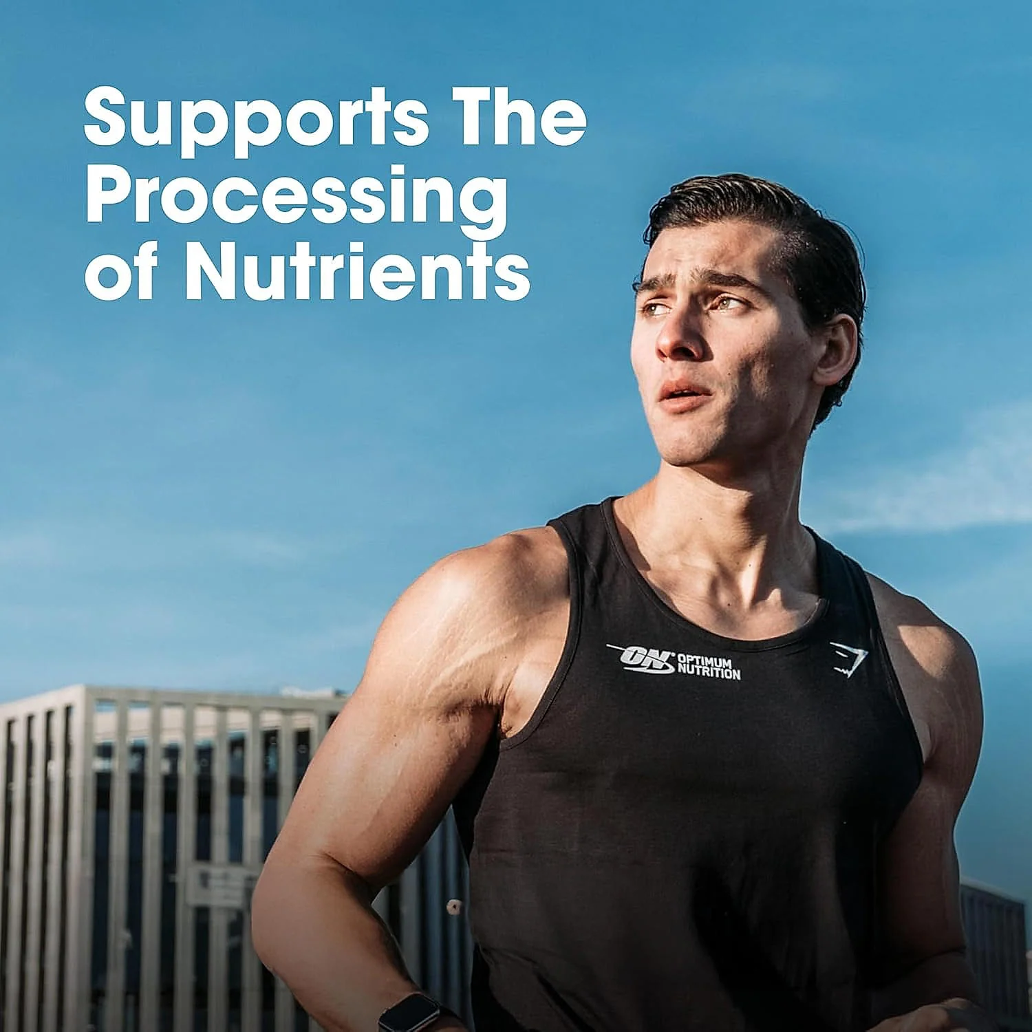 Micronized Creatine Powder | Unflavoured | 100 g + Multivitamin for MEN- 60 Tablets - Image 13